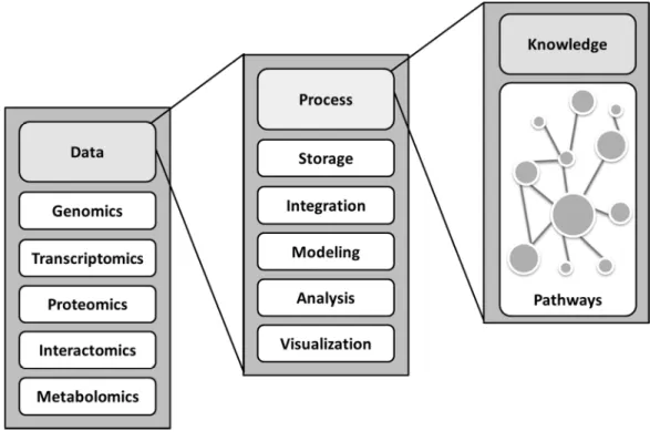 Figure  4 Bioinformatics and  systems  biology.  Bioinformatics  and  systems  biology  are  closely  related  with the ultimate goal to gain insights into biological systems