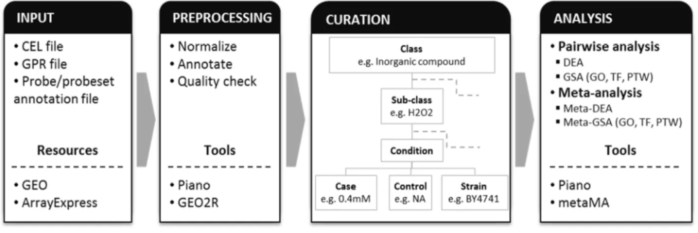 Figure 9 shows the workflow of data preparation and analysis.  