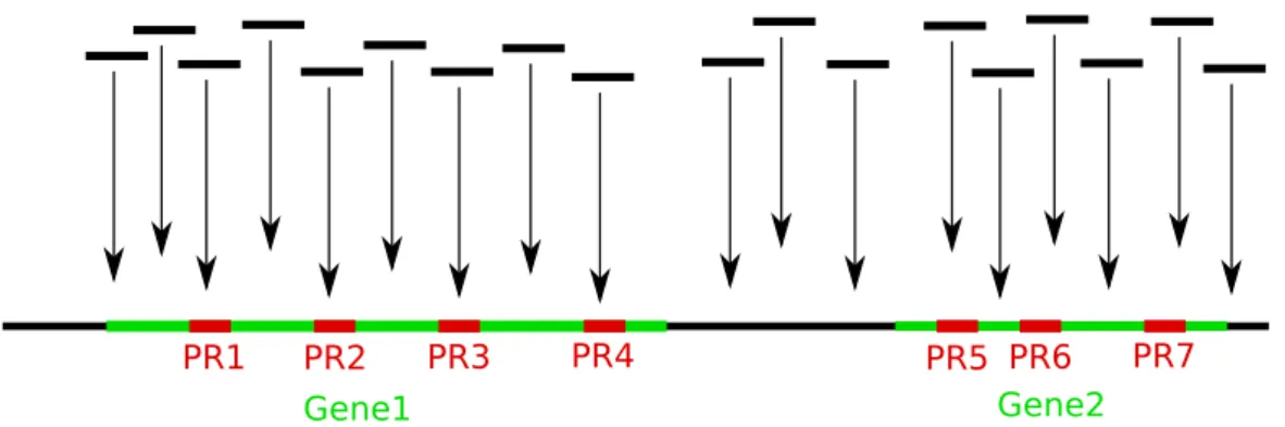 Figure 4.1: Counting reads overlapping with probe regions. Gene1 and Gene2 denotes gene regions, while PR1-PR7 denotes probe regions inside the gene regions.