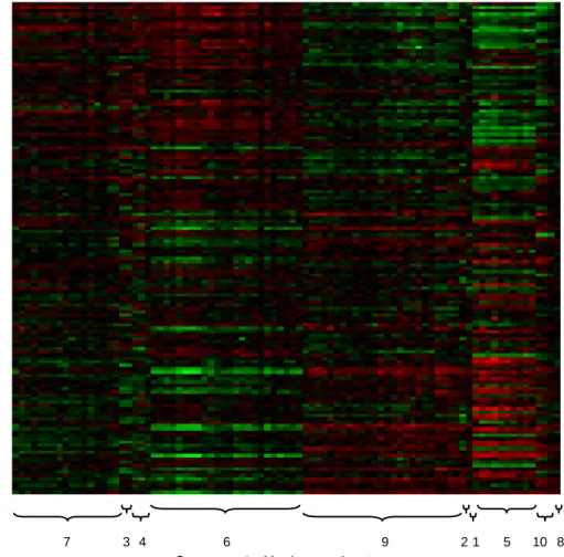 Figure 1.4: Heat map of sorted gene expression data. Red represents under-expression and green represents over-expression
