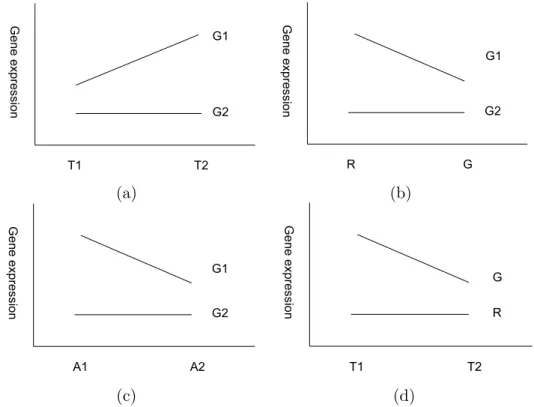 Figure 2.1: The four main effects result in six two-factor interactions ( TG, TD, TA, GD, GA, DA)