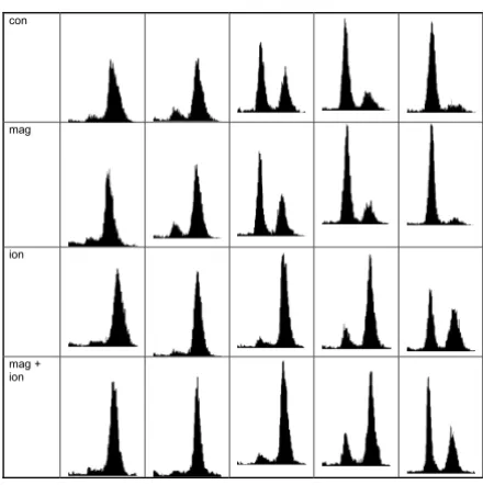 Figure 4Flow cytometry histograms of synchronised HeLa S3 cells.From left to right the histograms correspond to 7.5, 9, 10.5,11.5 and 13 h after release of the second thymidine block.Categories 3 and 4 have been irradiated with a dose of 3 Gyin late S/early G2 phase.