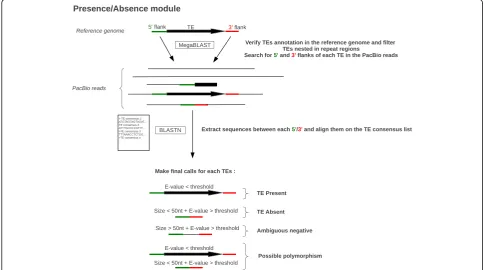 Fig. 1 Simplified workflow of the Presence/Absence module. Green and red bars indicate different flanking sequences, large black arrows represent TEs
