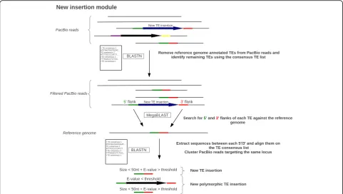 Fig. 2 Simplified workflow of the New insertion module. Green, red, yellow and purple bars indicate different flanking sequences, large black andblue arrows represent TEs