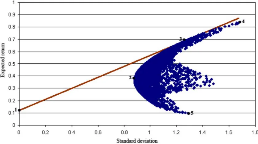 Figure 3.1The efficient mean-variance portfolio