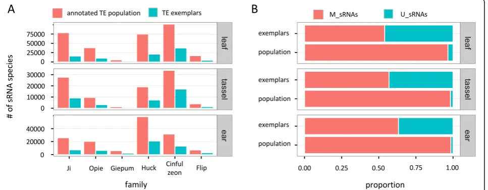 Fig. 2 sRNA metrics on TE exemplars and annotated TE populations. a Total number of sRNA species that mapped to each family