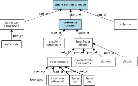 Figure 1. Partonomy of the blood components. 