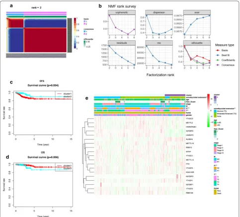 Fig. 3 Identification of consensus clusters by m6A regulators. (P a The consensus map of NMF clustering results in the total TCGA cohort