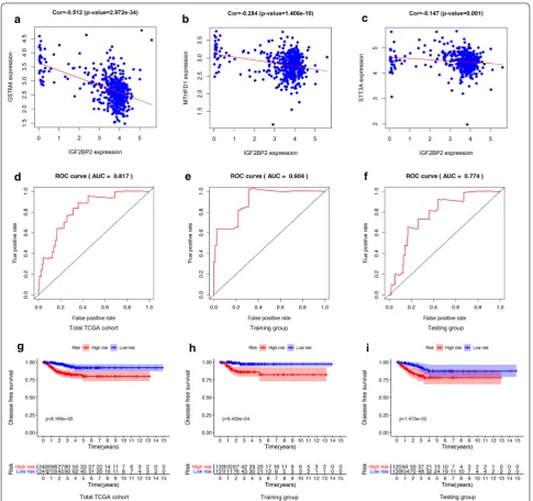 Fig. 5 Construction and validation of  m6A-related signature. a–c The Pearson correlation coefficients between IGF2BP2 and each gene in the signature