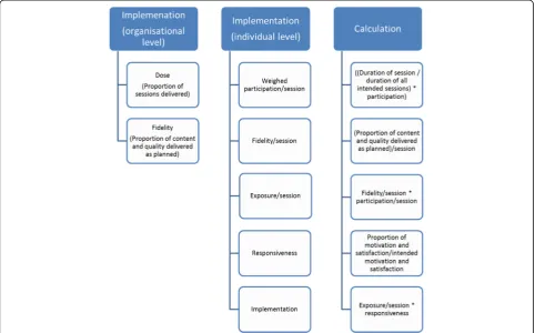 Fig. 1 Implementation. Illustration of factors that constitute the implementation at organizational and individual level and calculation of theimplementation score