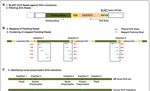 Fig. 2 Computational data analyses pipeline.region in the SVA Read is labelled. The two pair-end sequencing reads are represented by red arrow (SVA Read) and blue arrow (Flanking Read),respectively.Filtered Flanking reads that are within a 500 bp sliding w