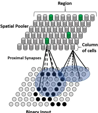 Figure 2.2: An example region for the Spatial Pooler. Two columns are shown with theirproximal segments