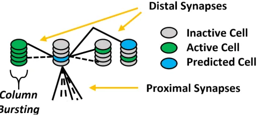 Figure 2.7: Each cell can be in one of three states: deactivated (grey), active (green),predicted/depolarized (blue).