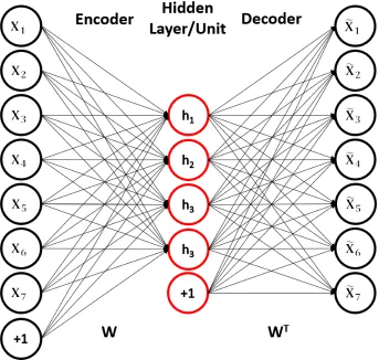 Figure 2.10: An under-complete autoencoder with bias terms. The reconstructed inputis represented on the right.