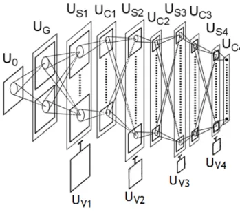 Figure 10: Neocognitron. 11