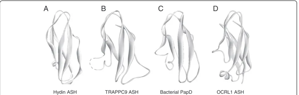 Figure 2 Predicted 3D structure of the TRAPPII ASH domain. (A)(http://www.pdb.org) entry 2WMP).(B)ASH domain (PDB (http://www.pdb.org) entry 3QBT)