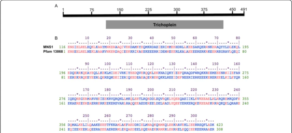 Figure 3 Expression of Mfn2, Mns1, and Gapdh in somatic and reproductive tissues as detected by RT-PCR