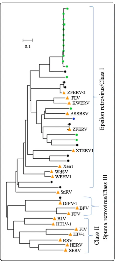 Figure S2). The DIRS group shows significant prolif-