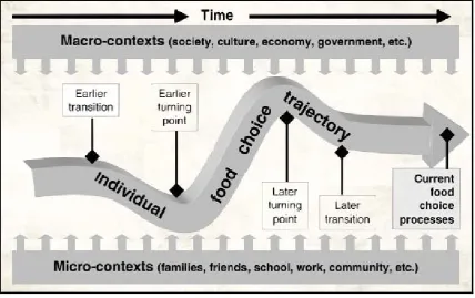 Figure 8 Conceptual framework of life course food trajectory 
