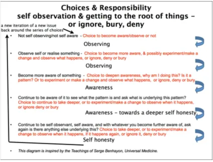 Figure 5. A process for developing and deepening self observation and self awareness
