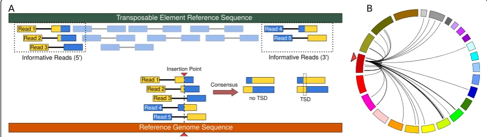 Fig. 1 Read mapping patterns typically associated with insertion detection. Panelsequence (grey rectangle, top) and the mapping of the same reads to a reference genome sequence (orange rectangle, bottom)