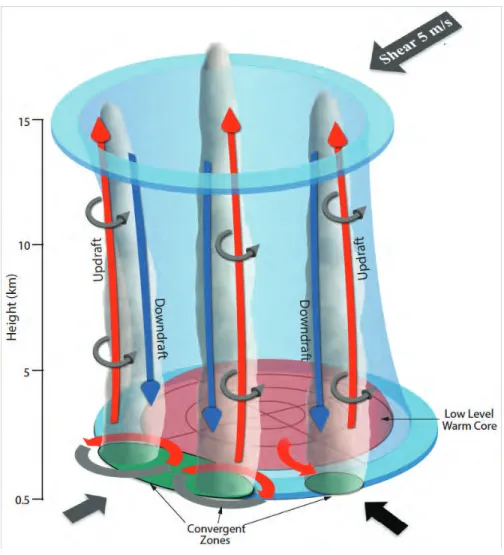Figure 2.5:  A  conceptual  diagram  summarizing  the  measurements  and  analysis  from  the  rapid  intensification  of  Karl