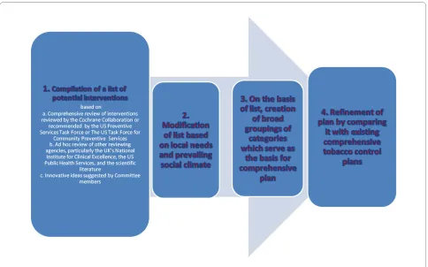 Figure 1 Framework for developing a comprehensive tobacco control program
