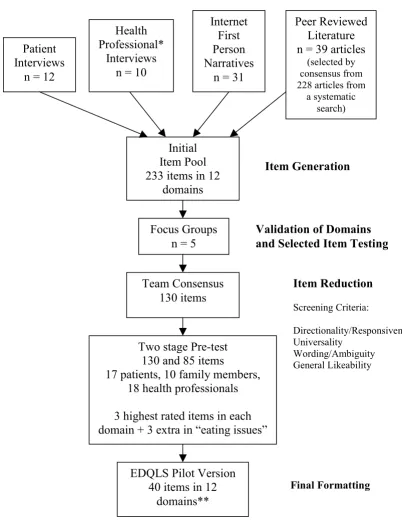 Figure 1The EDQLS Development Processships, relationships with others, future/outlook, appearance, leisure, psychological health, emotional health, values and beliefs, The EDQLS Development Process