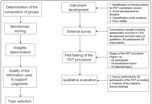 Figure 1 Stages of the PDT procedure (left side) and methodological approaches used for validating the process (right side).