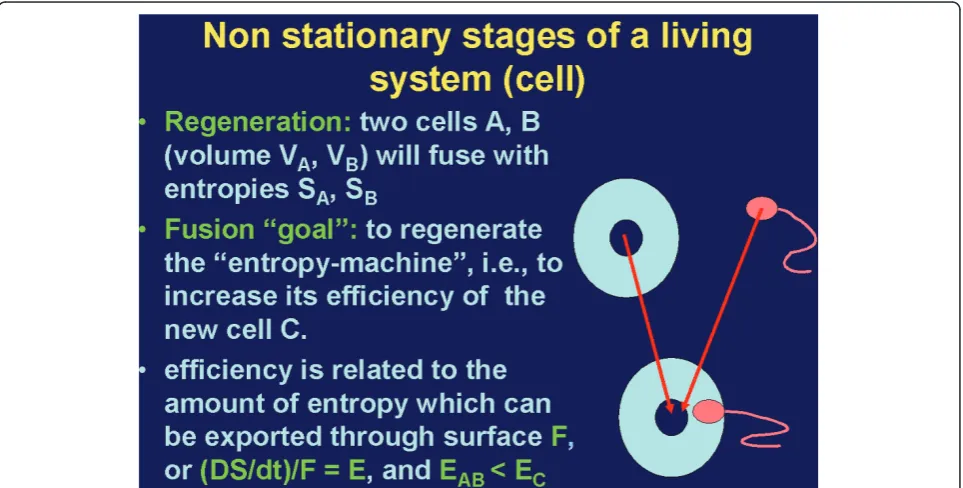 Figure 1 Scheme of cellular fusion from the viewpoint of the entropy concept: The highest efficiency of entropy transportation isobtained, if the surface/volume fraction of the new generated cell becomes a maximum, which obviously requires VA >> VB