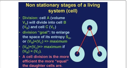 Figure 2 Scheme of cell division from the viewpoint of the entropy concept: The more equal the daughter cells are, the greater is thegenerated space of lower entropy; i.e., VA = maximum if VB = VC.[4].