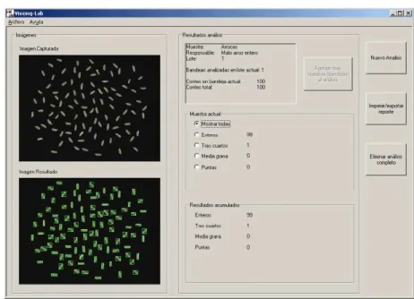 Fig. 7. Results of VisionQ-Lab when detecting samples of rice grains.