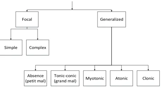 Figure 2.2: Seizure types
