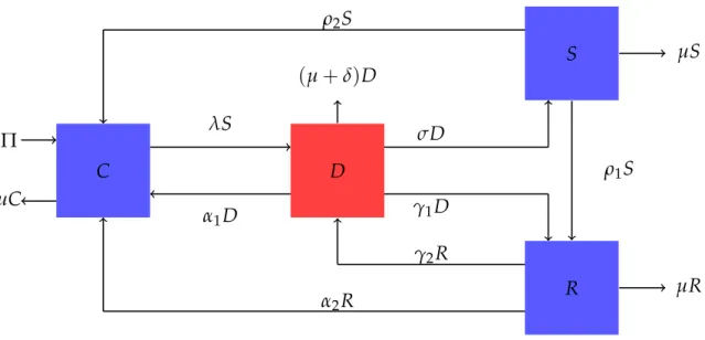 Figure 3.1. A compartmental representation for the model of the syndemic of substance abuse and drug-related crime.