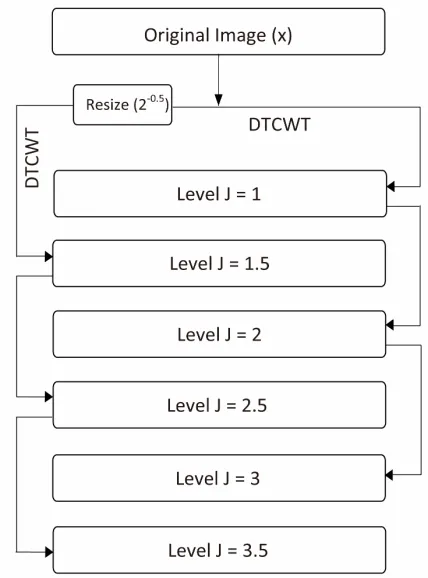 Figure 1. Flowchart for a 3 level wavelet decomposition with an extra tree based on a resized image
