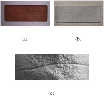 Fig. 4. (Color online)(a) Forehead wrinkle directly imaged using photometric stereodevice