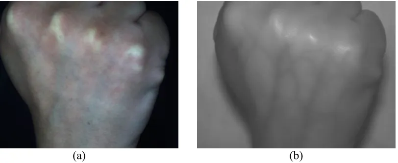 Figure 3: A photo (courtesy of Prof. Sabine Süsstrunk, EPFL) in the visible (a) and its counterpart NIR spectrum (b), separated melanin (c) and hemoglobin mappings (d) 