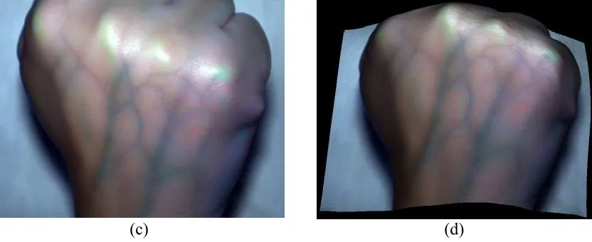 Figure 4 A fist under visible (a) light and its counterpart NIR spectrum (b), enhanced blood vessel detail (c) and its overlay on the 3D reconstruction result from the PMS (d) 