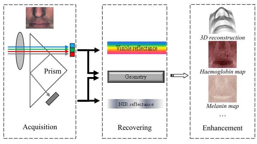 Figure 1 Setup (a) and schematics (b) of the new imaging modalities  