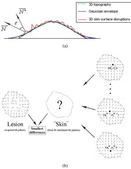 Fig. 1. (a) 2D Gaussian, uniformly distributed with respect to the distributioncentre of the lesion as the function for generating a skin tilt pattern model [8]and (b) Aeries of simulated 2D Gaussian proﬁles to model lesion surface inorder to minimise the error in between the bump map of the lesion and thesynthetic model [4].