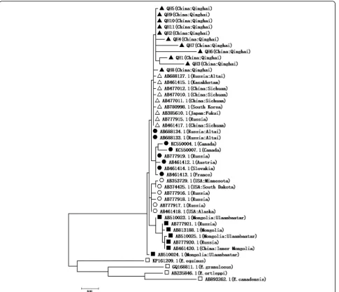 Fig. 8 Phylogenetic comparison of thebelonged to the Mongolian genotype (marked byAB235846.1 belonged to cox1 isolated sequences with those deposited in the GenBank database