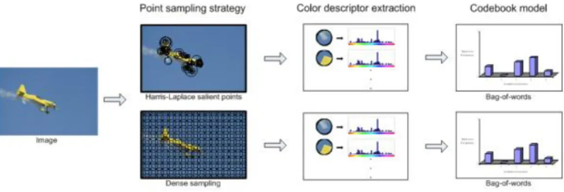 Figure 11: Procedure adapted to colour description [IX] 