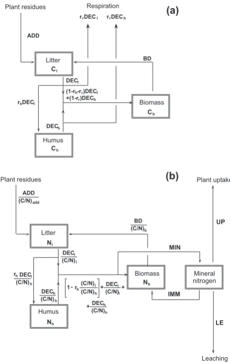 Fig. 2. Schematic representation of the main components of themodel. (a) Soil carbon cycle; (b) soil nitrogen cycle