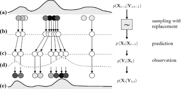 Figure 2.10: Steps involved in one iteration of a particle filter algorithm. (a) Posterior pdf at time t − 1 approximated by a particle set is the input to the filter at time t