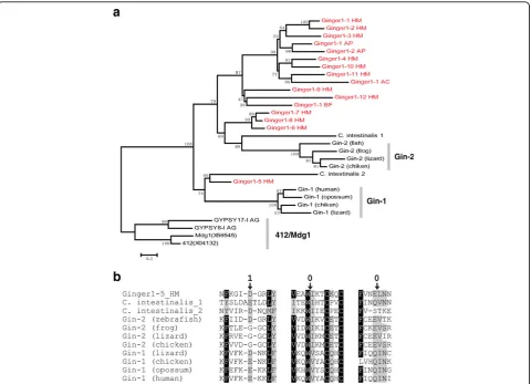 Figure 3 Host genes evolved fromGin-1pairwise deletion, gamma parameter = 2, 1,000 bootstrap replicates)