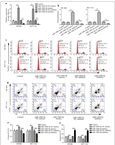 Fig. 2 Effects of miR-196b-5p on CRC cell proliferation and apoptosis. a The level of miR-196b-5p was measured with quantitative real-time PCR