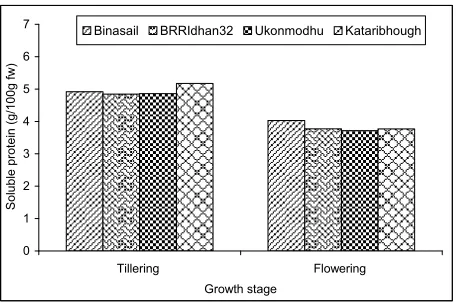 Figure 4. Chlorophyll-a/b of leaf at different growth stages of four aromatic and fine rice varieties