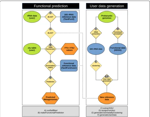 Fig. 1 The Tax4Fun workflow. 16S rRNA gene sequences are initially aligned against the reference sequences provided with Tax4Fun2 to identifythe nearest neighbour