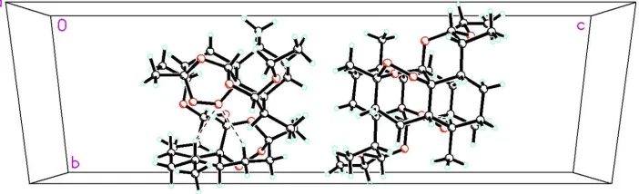 Figure 2The molecular packing for (I) viewed down the c axis. Dashed lines indicate C–H···O intermolecular hydrogen bonds