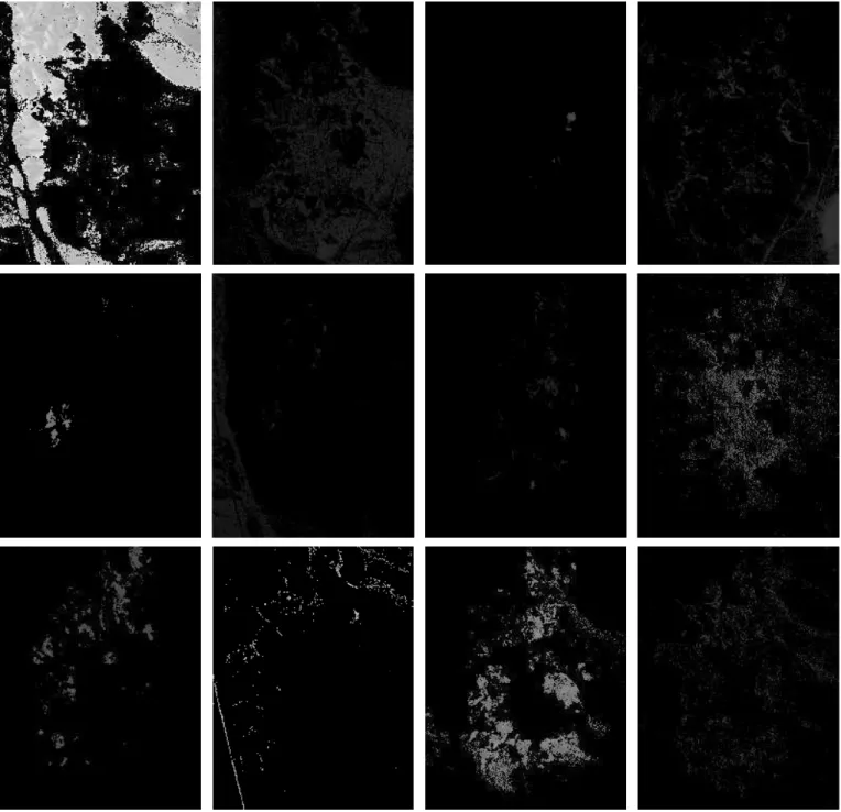 Fig. 10. Abundance maps of 12 different endmembers obtained using our method on the Cuprite dataset